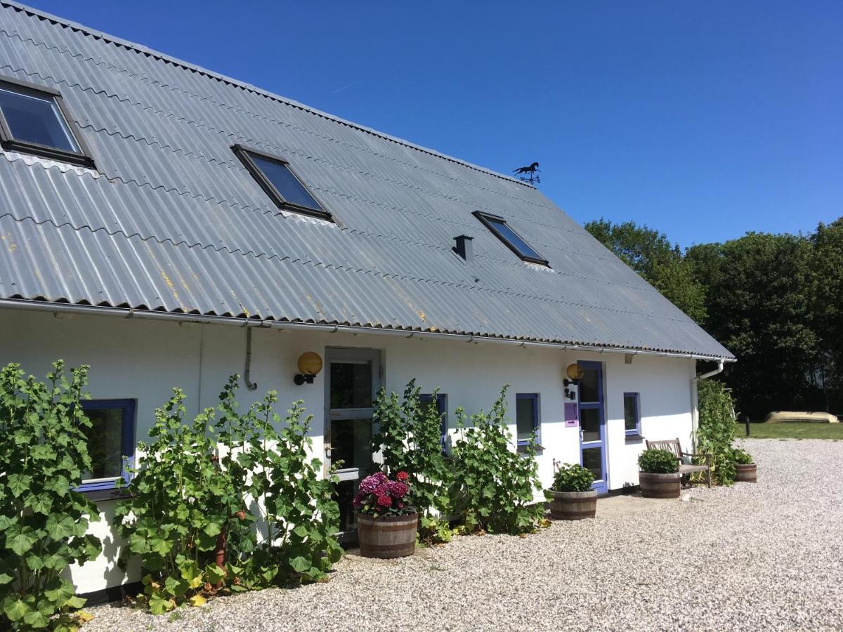 Rolso Retreat Villa Knebel Exteriör bild