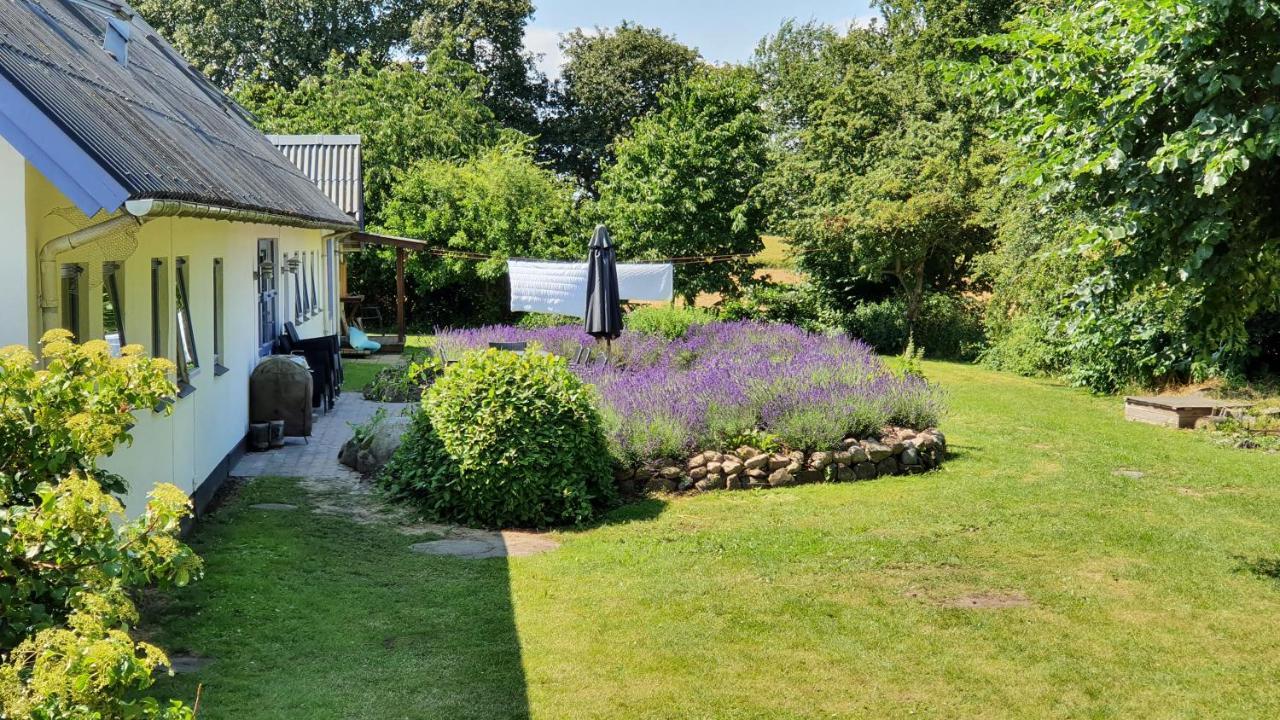 Rolso Retreat Villa Knebel Exteriör bild